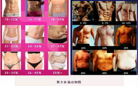 自己的体型管理师：H-TREE减肥排毒套餐，安心瘦，健康美！