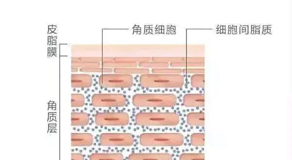 安锦颜：为何市场如此火爆？医学皮肤管理的重要性可说明一切